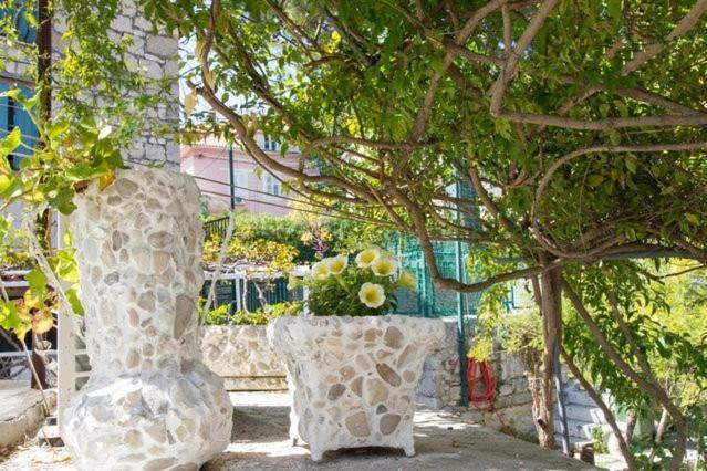 Apartments Varos Сплит Номер фото